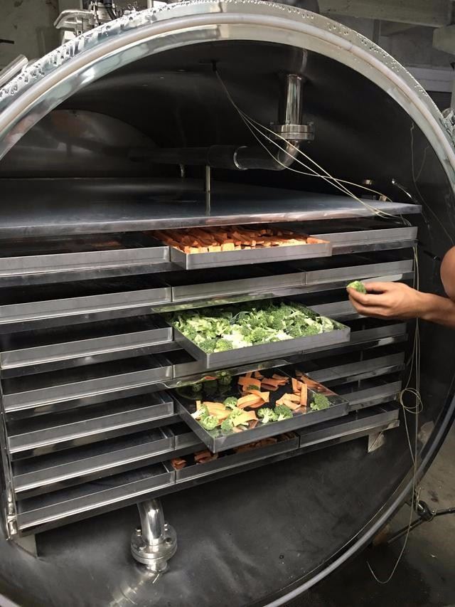 Vacuum Food Freeze Dryer in China
